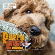 Meet Waffles, our Puppy Love cover-model contest winner