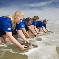 SeaWorld Orlando returns 9 rescued sea turtles to Florida waters