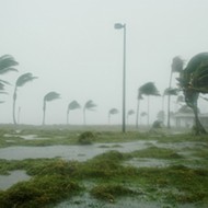 Who remembers Hurricane Wilma? No? Read this