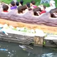 Video surfaces showing Disney employee fending off alligator near Splash Mountain