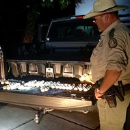 Florida man arrested for stealing 107 sea turtle eggs