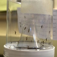Health officials confirm first case of locally transmitted Zika in Pinellas County