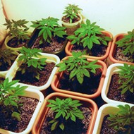 Florida House seeks to defend state's medical marijuana law