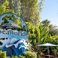 SeaWorld's CEO jumps ship after more than 100 Orlando employees are laid off