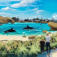 SeaWorld Orlando is ending its theatrical orca shows, but they still have a long road ahead