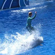 PETA takes credit for SeaWorld ending 'dolphin surfing' shows
