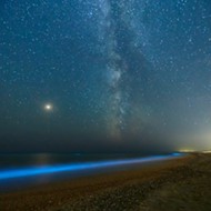 Natural bioluminescence lights up Space Coast waterways after dark