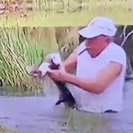 Florida man snatches back pet dog from jaws of alligator while chomping on cigar himself