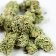 Florida Supreme Court rejects recreational pot amendment on belief that Florida's voters are stupid