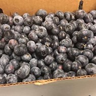 A truck full of local, organic blueberries from King Grove is now making weekly drops throughout greater Orlando