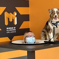 Orlando's Museum of Illusions to host 'puppy paw-ty' in September
