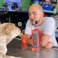 Dog park-meets-bar concept Pups Pub is looking to open in Orlando