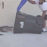 Orlando man traps alligator using only a trash can in viral video