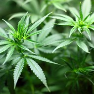 Florida Senate starts shaping up medical marijuana plan