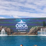 Orca Encounter show at SeaWorld San Diego points to the future of all orcas at SeaWorld