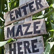 14 Central Florida pumpkin patches, corn mazes, hayrides and more