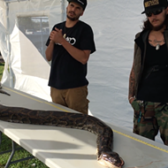 Florida snake hunter catches record-setting 17-foot Burmese python
