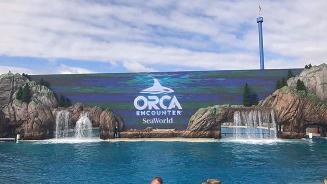 Orca Encounter at SeaWorld San Diego - Image via Stand with SeaWorld | Facebook