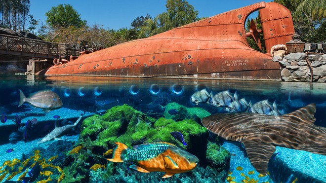 Shark Reef - Photo via Disney