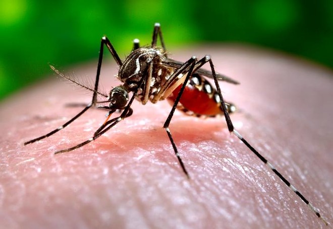 Orlando theme parks are now giving out free insect repellent due to Zika virus (2)
