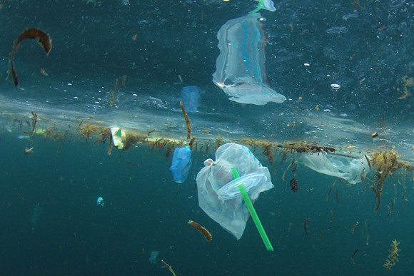 Florida Gov. Ron DeSantis vetoes bill that bans cities from banning plastic straws