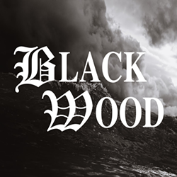 Fringe 2019 Review: 'Black Wood'