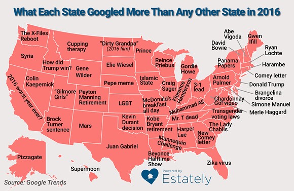 You can probably guess what Florida Googled more than anything else in 2016 (2)