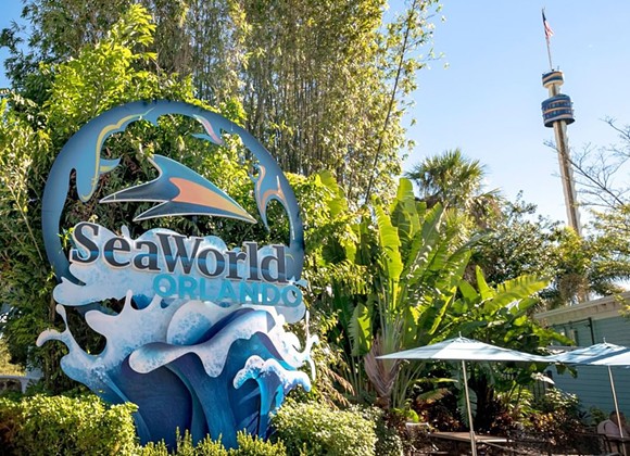 SeaWorld's CEO jumps ship after more than 100 Orlando employees are laid off