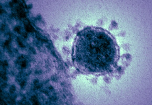 Florida awaits confirmation on fourth case of coronavirus