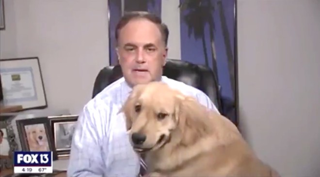 Florida weatherman's dog just delivered a perfect forecast
