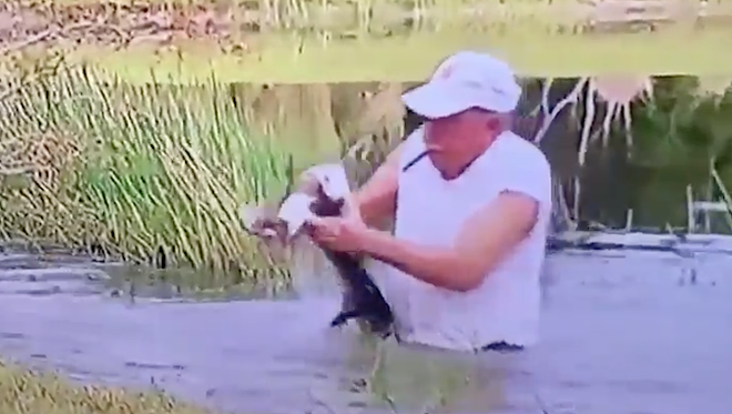 Florida man snatches back pet dog from jaws of alligator while chomping on cigar himself