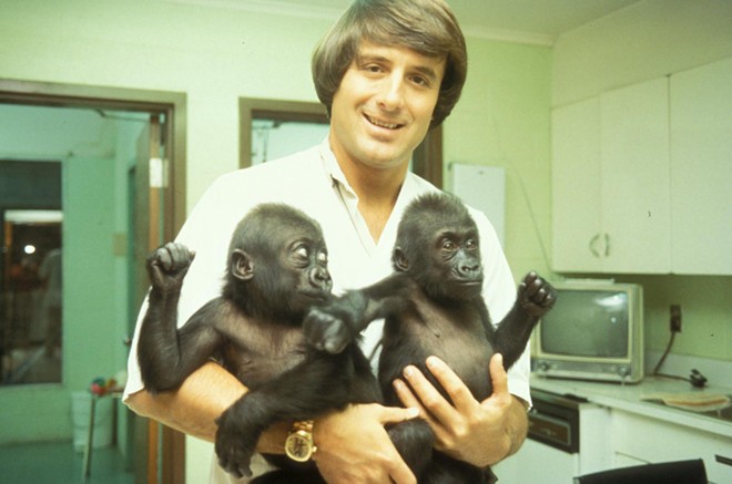 Jack Hanna with the two gorillas that launched his career in television - Image Jungle Jack Hanna | Facebook