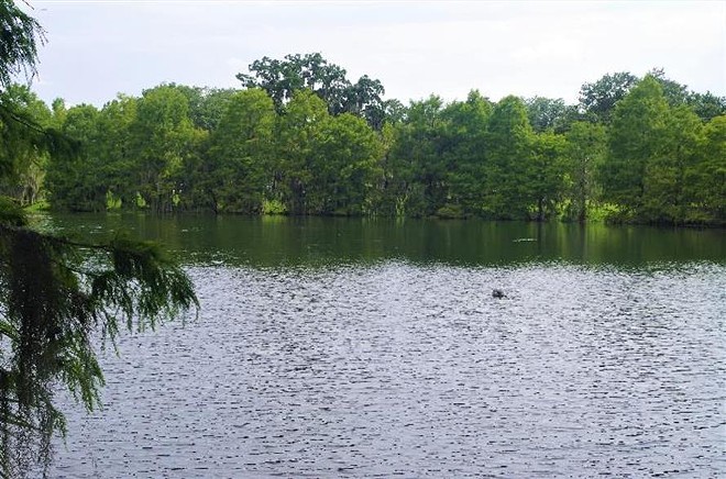 Lake Rowena Park is still unsafe for swimming, - PHOTO VIA CITY OF ORLANDO