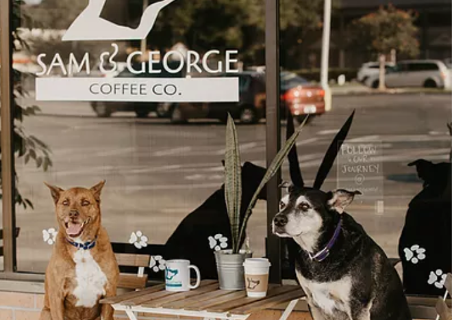 An adoptable dog cafe has plans to open later this year. - PHOTO VIA SAM & GEORGE COFFEE CO.