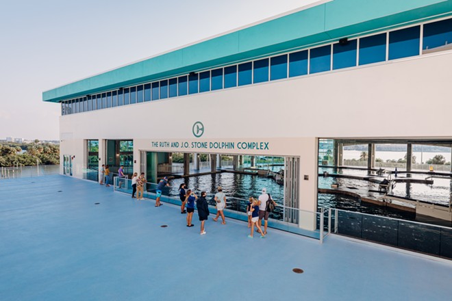 The dolphin complex gives guests views into the dolphin facilities and an elevated view of the aquarium's natural intercoastal surroundings. - Image via the Clearwater Marine Aquarium