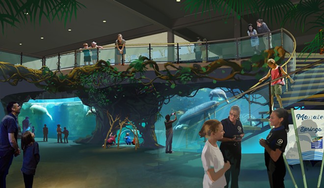 Concept art of the new manatee exhibit proposed for the Clearwater Marine Aquarium - Image via the Clearwater Marine Aquarium