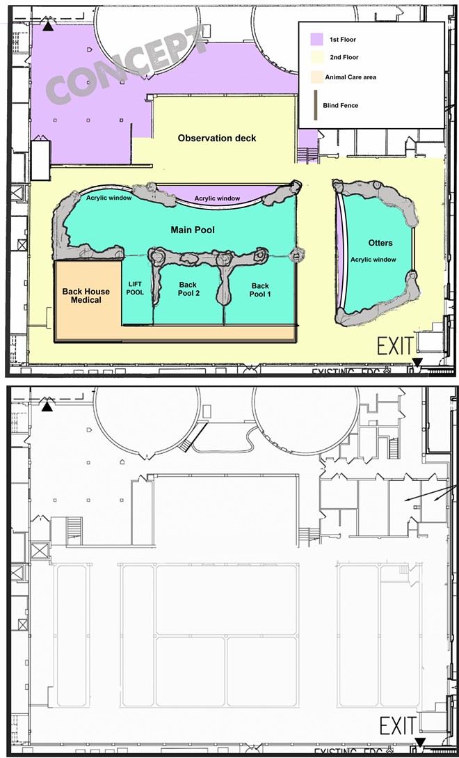 An early concept of the potential layout for the manatee facility at the Clearwater Marine Aquarium. - Image via the Clearwater Marine Aquarium