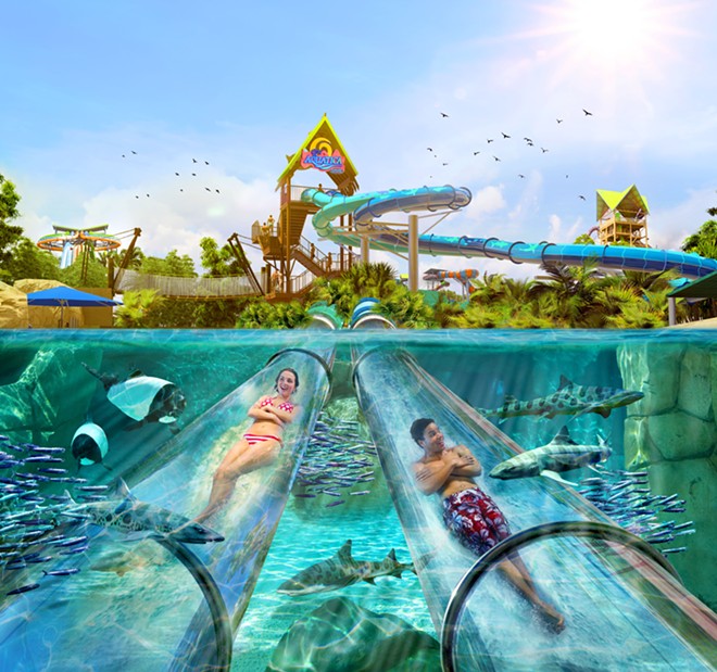 Concept art of the new reimagined Dolphin Plunge, now known as Reef Plunge coming to Aquatica Orlando in 2022 - Image via SeaWorld Orlando