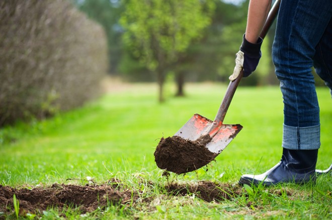 The city of Orlando is giving away free trees to residents for Earth Day through the Energy-Saving Trees Program in collaboration with the Arbor Day Foundation. - Arbor Day Foundation