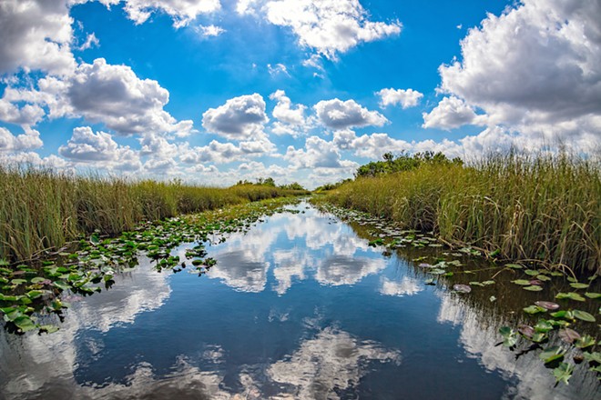 Florida Gov. Ron DeSantis vetoes Everglades restoration bill over concerns about wetlands destruction | Florida News | Orlando