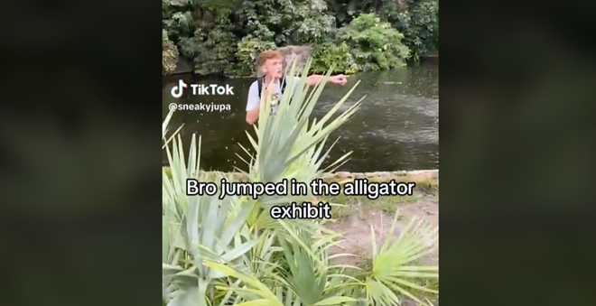 Busch Gardens Tampa Bay says it’s working with law enforcement after influencer jumps into alligator exhibit | Florida News | Orlando