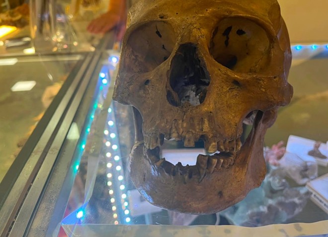 Real human skull found for sale at a Florida thrift shop