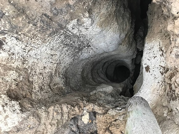 Rescuers save Florida pug from 30-foot sinkhole (2)