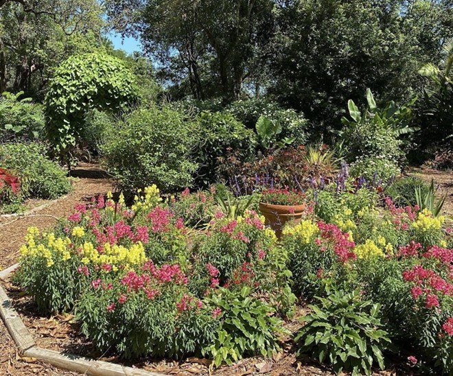 Plant for Pollinators Giveaway at Mead Gardens gets you a free green friend for a good cause this weekend