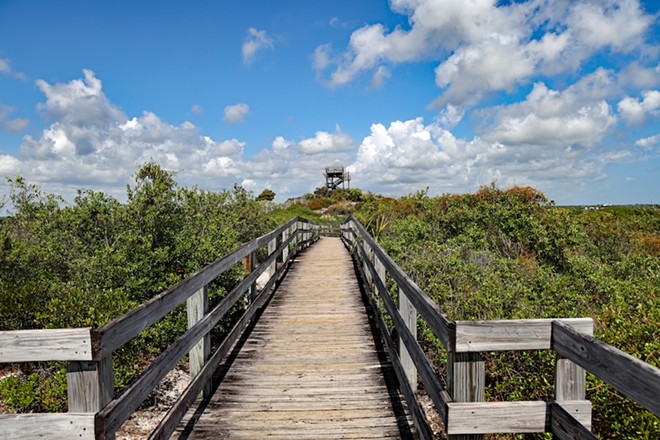 One proposal talks of building three golf courses at Jonathan Dickinson State Park in Hobe Sound. - Photo via Shutterstock