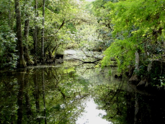 Former Rick Scott aide named Florida's environmental chief