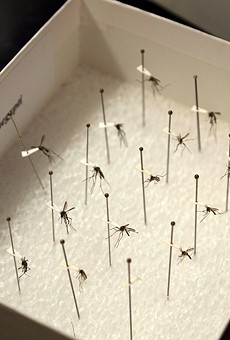 Zika cases continue to grow in Florida
