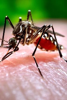 Zika has already caused a noticeable impact on tourism