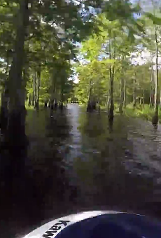Here's what it's like to jet ski the narrow and remote canals of the St. John's River