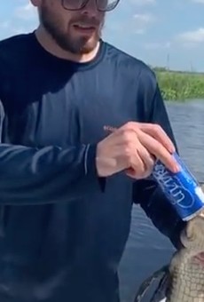 'Florida Man' uses alligator to shotgun a beer while cranking Skynyrd